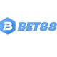 Member's Avatar
