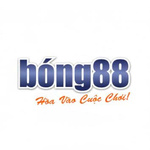 Member's Avatar