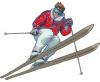 Member's Avatar