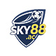 Member's Avatar