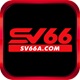 Member's Avatar