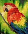 macaw.jpg