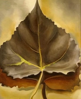 okeefe_leaves.jp
 g
